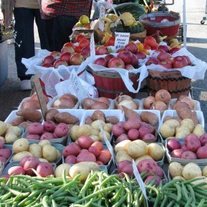 Nicks Veggie Farm at the Olathe Farmers Market