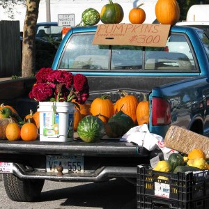 The Pumpkin Truck at the Olathe Farmers Market