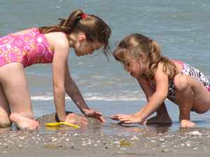 The girls at Cocoa Beach - playing in the sand and picking up seashells